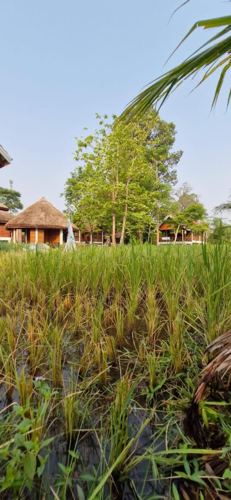 Bolaven Garden Bungalow And Tent - Tad Lo Ban Kiangtat Экстерьер фото