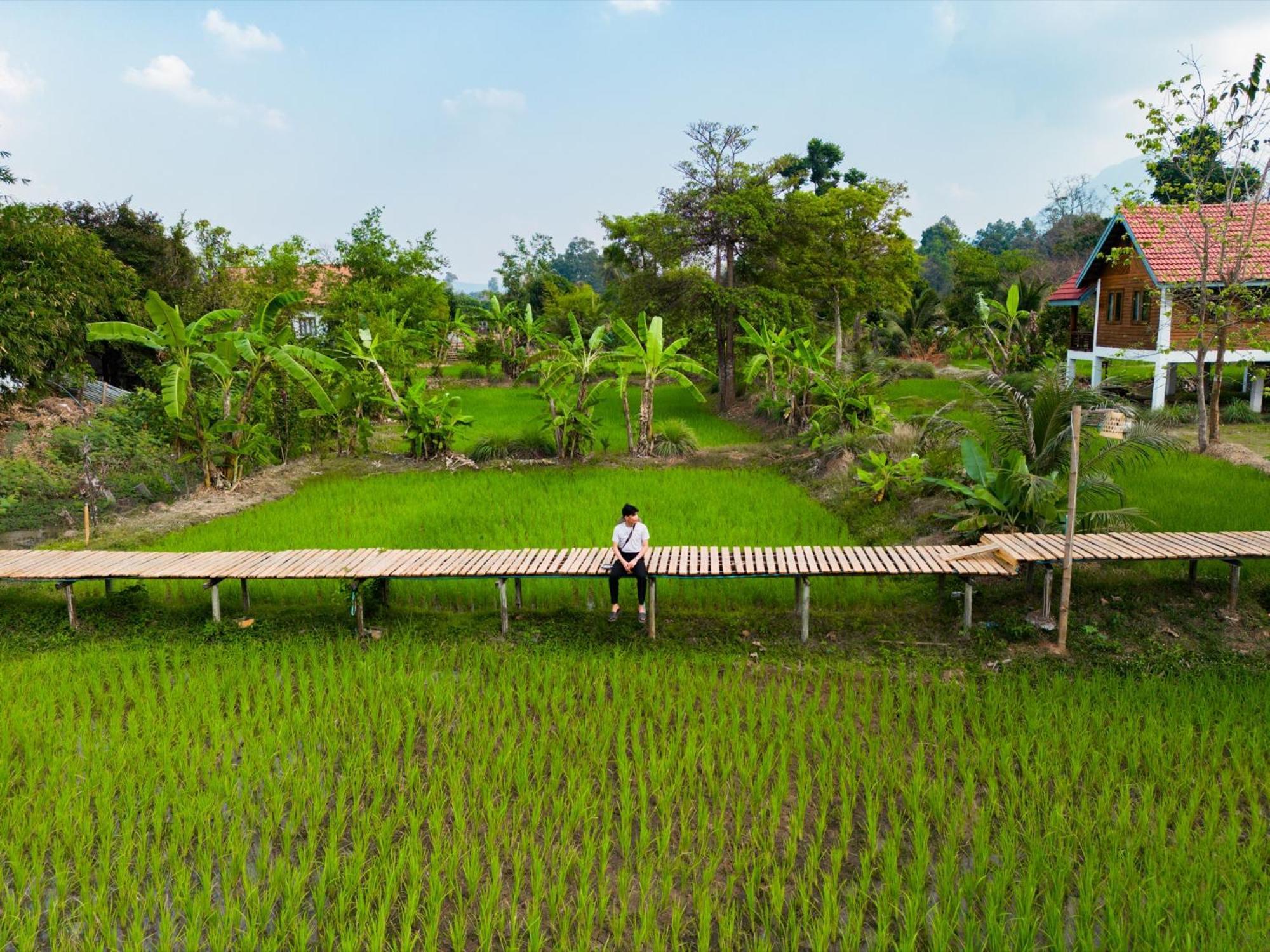 Bolaven Garden Bungalow And Tent - Tad Lo Ban Kiangtat Экстерьер фото