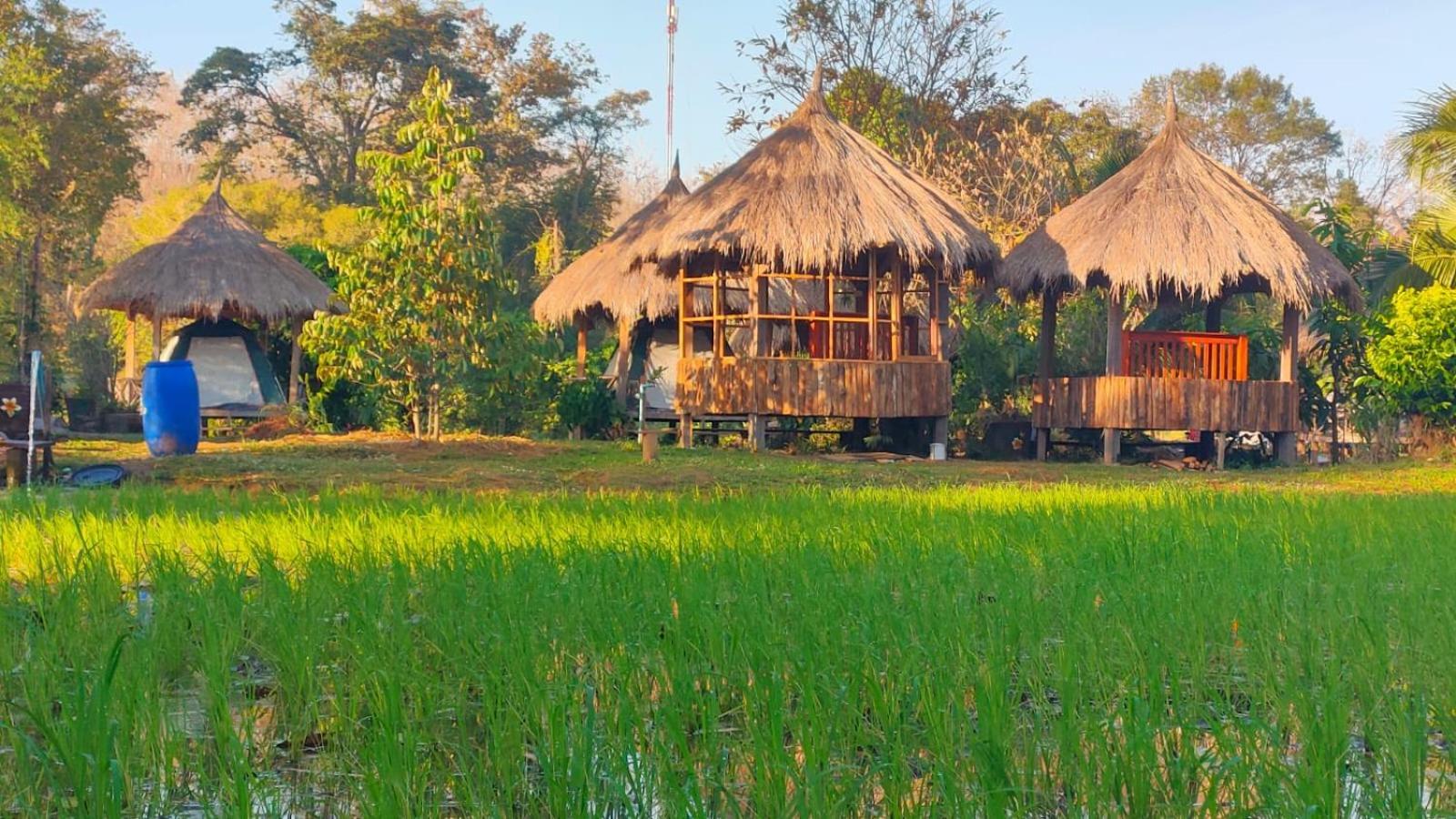 Bolaven Garden Bungalow And Tent - Tad Lo Ban Kiangtat Экстерьер фото